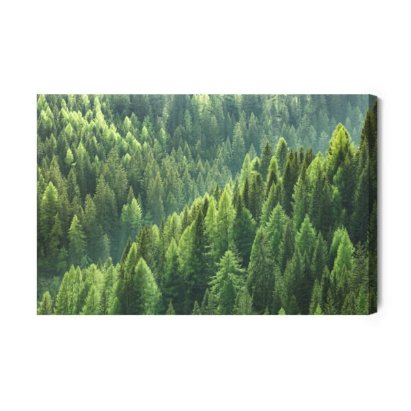 Obraz Na Płótnie Zielony Las Iglasty - aranżacja