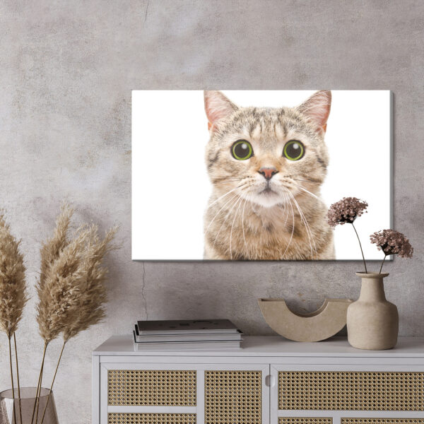 Obraz Na Płótnie Kot Szkocki Prostouchy - wzór na obrazie