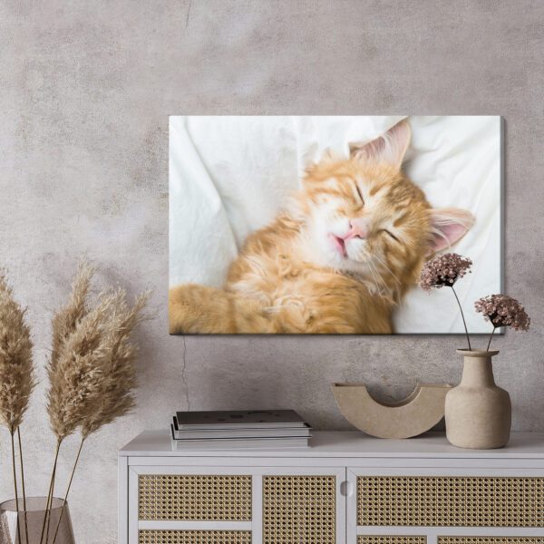 Obraz Na Płótnie Rudy Śpiący Kotek - wzór na obrazie