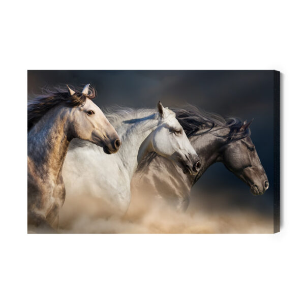 Obraz Na Płótnie Trzy Konie W Galopie - aranżacja