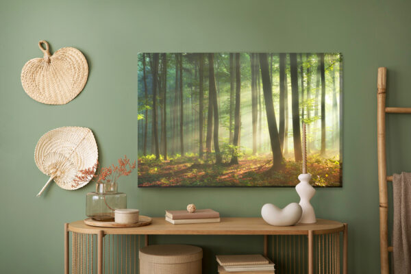 Obraz Na Płótnie Piękny Poranek W Lesie - aranżacja mieszkania