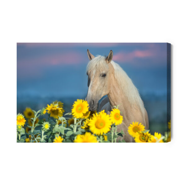 Obraz Na Płótnie Koń I Słoneczniki - aranżacja