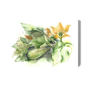 Obraz Na Płótnie Cukinia Z Kwiatami Malowana Akwarelą - aranżacja