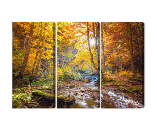 Obraz Wieloczęściowy Jesienny Krajobraz Leśny 3D - aranżacja