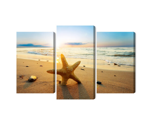 Obraz Wieloczęściowy Rozgwiazda Na Plaży 3D - aranżacja