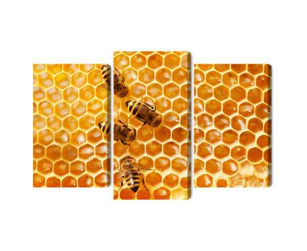Obraz Wieloczęściowy Pszczoły Na Plastrze Miodu - aranżacja