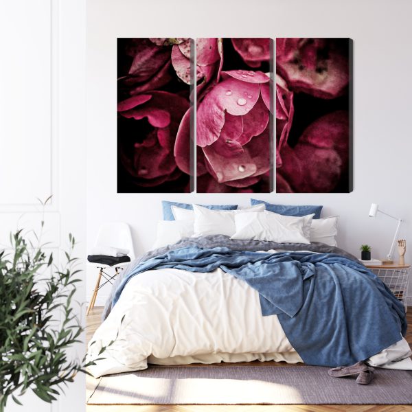 Obraz Wieloczęściowy Kwiaty Piwonii Z Bliska 3D - wzór na obrazie