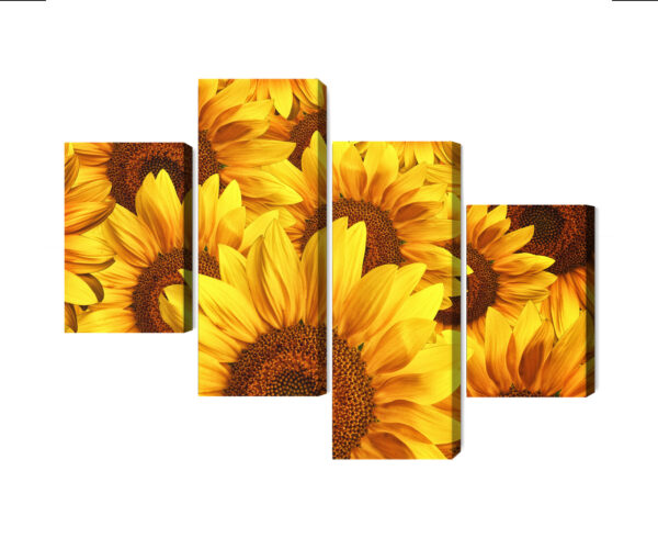 Obraz Wieloczęściowy Kwiaty Słonecznika 3D - aranżacja