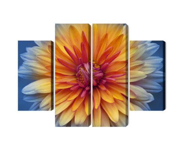 Obraz Wieloczęściowy Kwiat Chryzantemy Z Bliska 3D - aranżacja