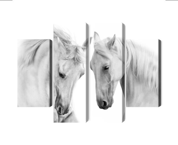 Obraz Wieloczęściowy Dwa Konie Na Białym Tle - aranżacja