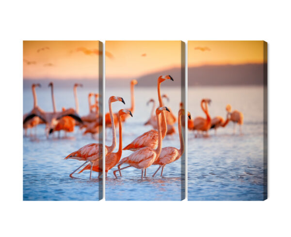 Obraz Wieloczęściowy Stado Flamingów Nad Wodą - aranżacja