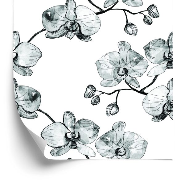 Tapeta Do Salonu Storczyki Kwiaty Orchidea Natura - wzór