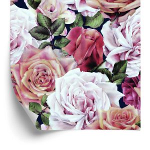 Tapeta Piękne Angielskie Róże - wzór
