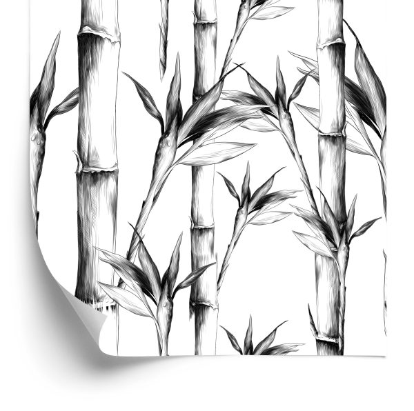 Tapeta Czarno-Biały Bambusowy Las - wzór