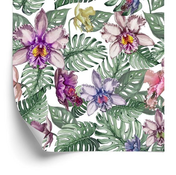 Tapeta Kolorowe Kwiaty Orchidei I Liście Monstery - wzór